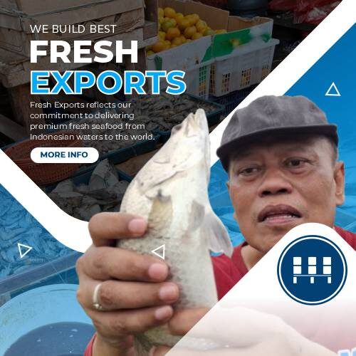 Bluesupply Indonesia Blog 2