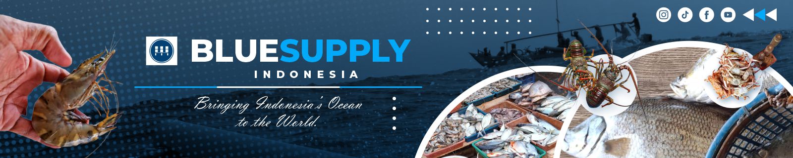 Bluesupply Indonesia Sub Banner
